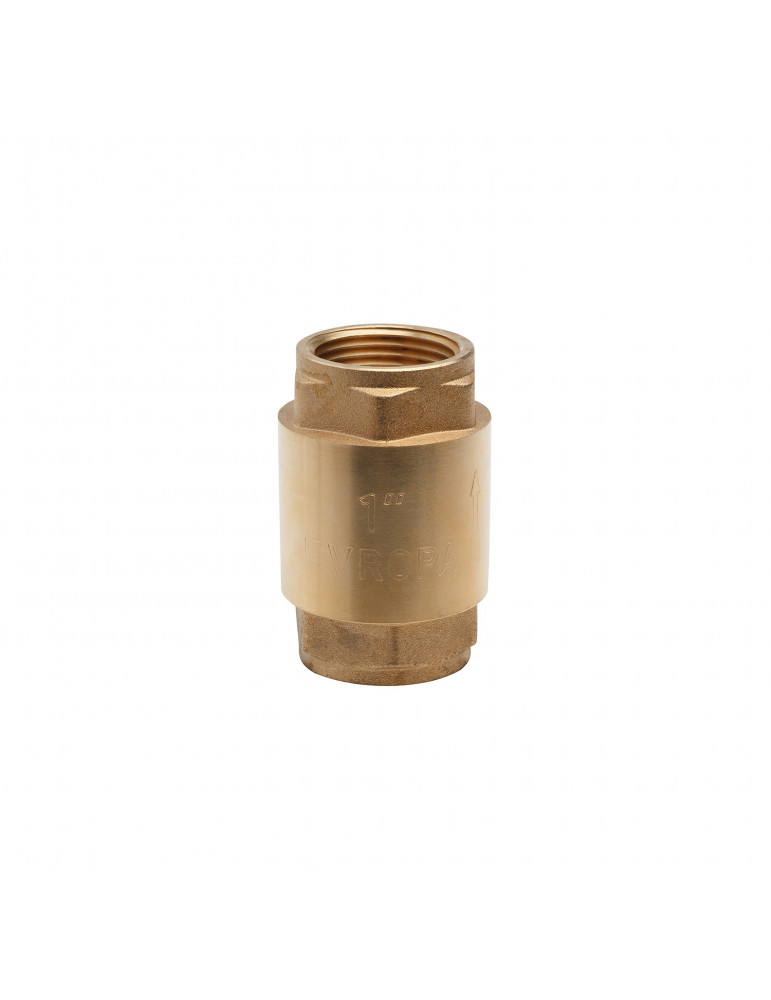Зворотній клапан Karro "Europa" 1" ВВ з латунним штоком | купити | SilverGoose.com.ua.com.ua