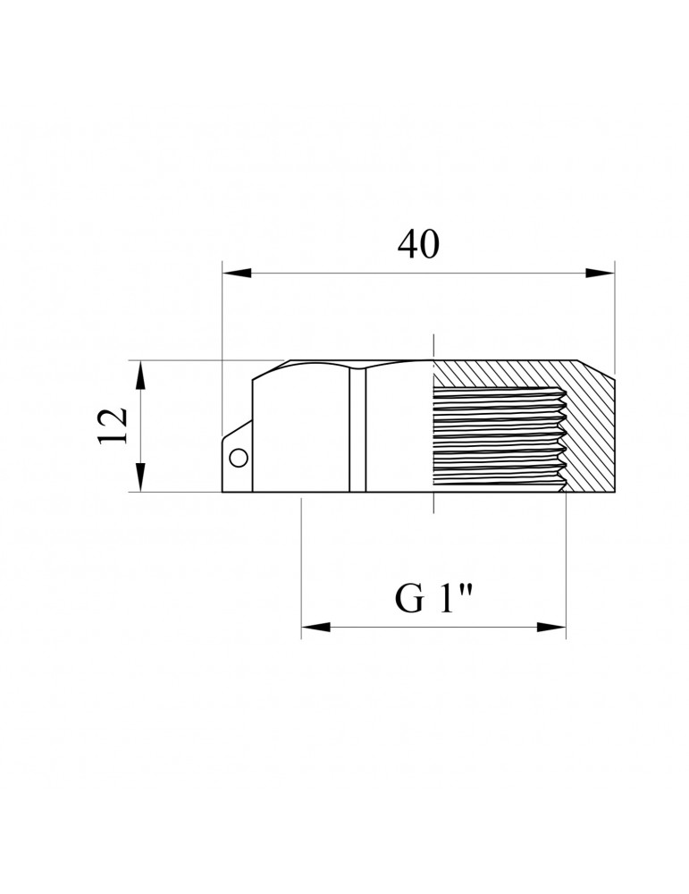 Заглушка STA (DN) 25 ВР латунна | купити | SilverGoose.com.ua.com.ua