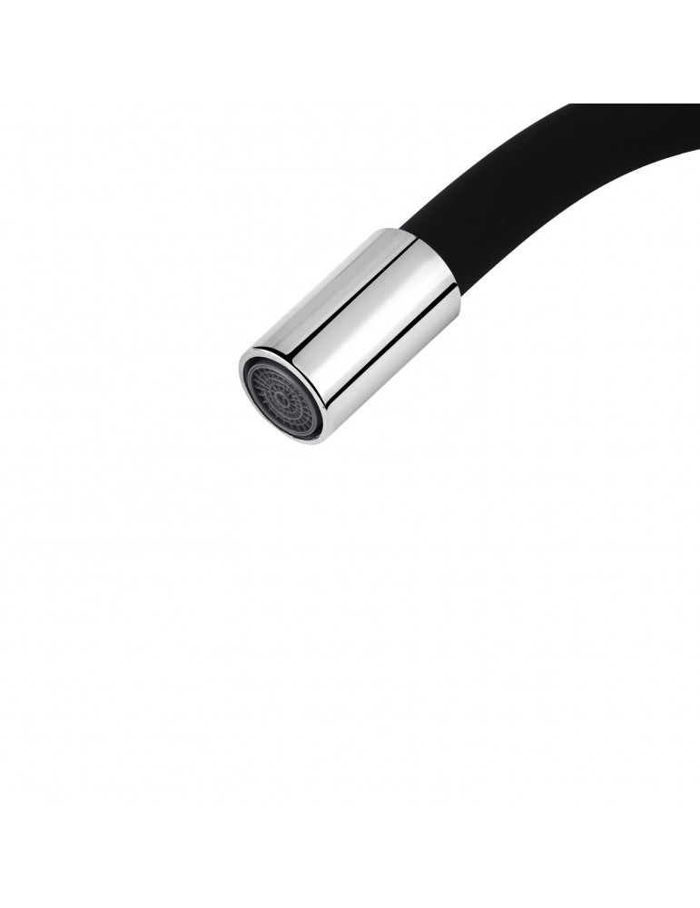 Змішувач для кухні з гнучким виливом Agua Leon - C039 | купити | SilverGoose.com.ua.com.ua