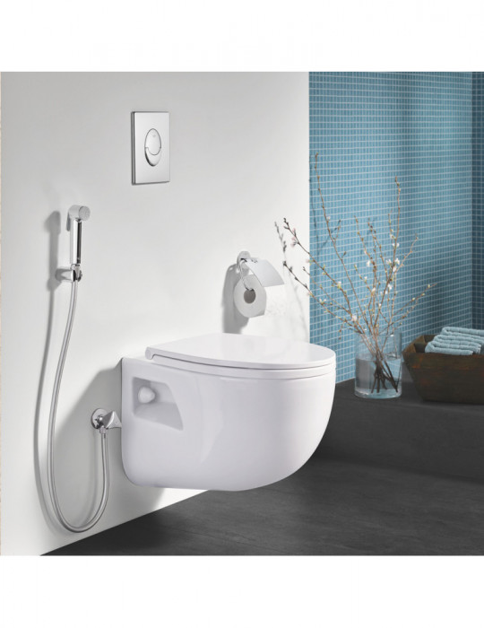 Лійка для гігієнічного душу Grohe Tempesta-F Trigger Spray 30 27512001 | купити | SilverGoose.com.ua.com.ua