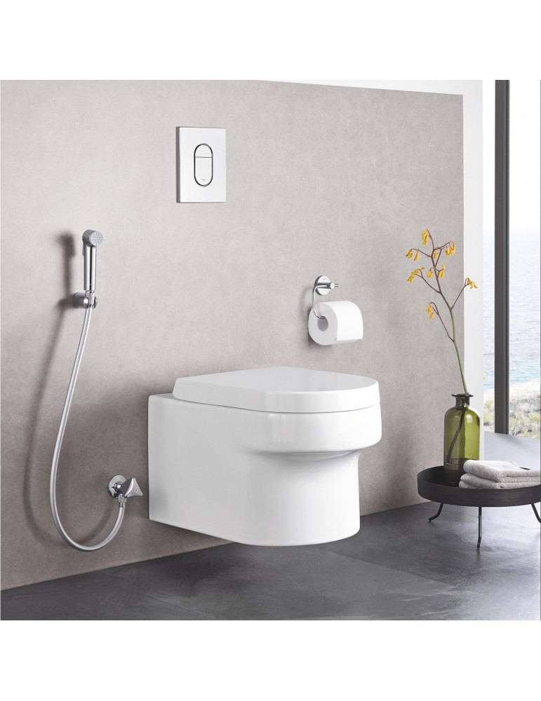 Лійка для гігієнічного душу Grohe Tempesta-F Trigger Spray 30 27512001 | купити | SilverGoose.com.ua.com.ua